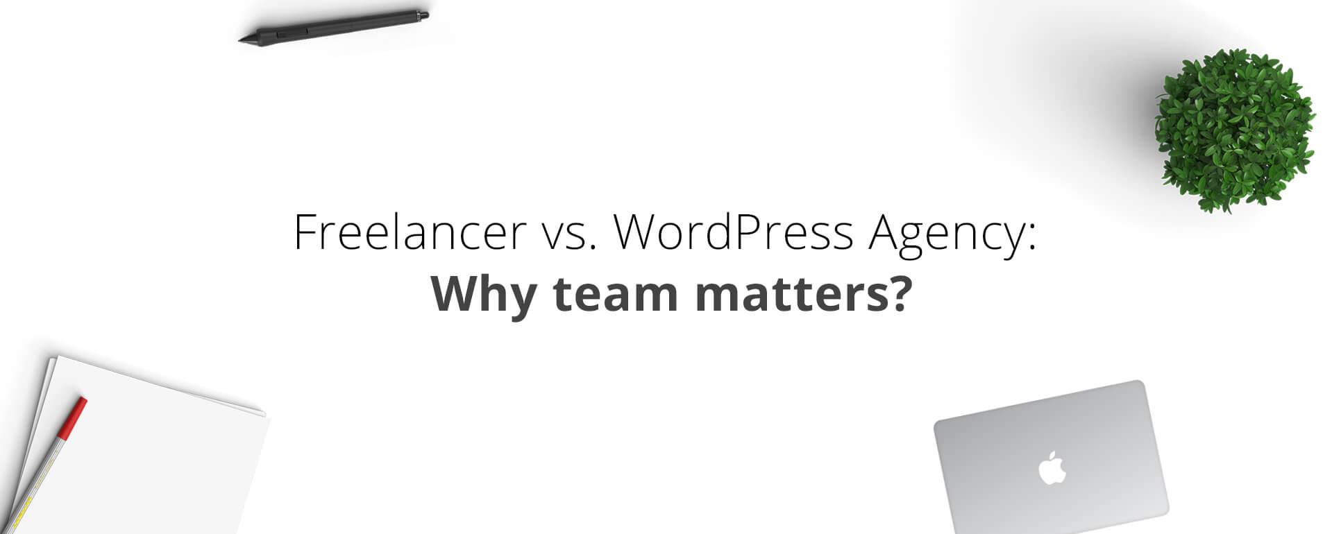 Freelancer vs WordPress Agency – Why Team Matters?